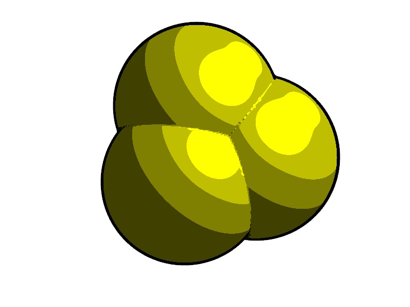 Marching Cube and Toon Shading [<MY_LINK>TOON_SHADER|An Interactive Demo</MY_LINK>]